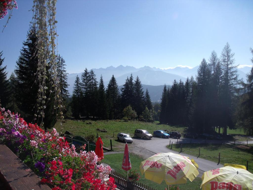 Gasthof Edelbrunn Hotel Ramsau am Dachstein Exterior photo